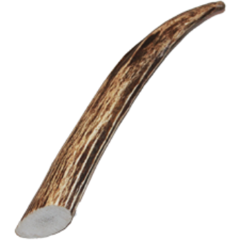 Natural deer or elk antler chew stick for dogs, medium size