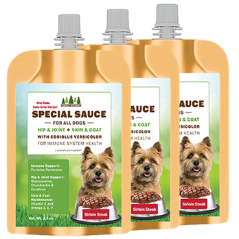 Four pouches of 'Special Sauce' for dogs with a label featuring a dog and text.