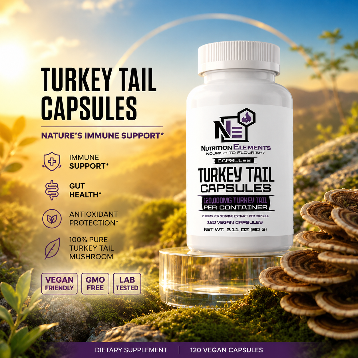 Turkey's tail capsule